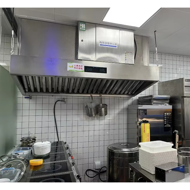Customized Built in Electrosta - đánh giá và giá Commercial Kitchen Hoods
