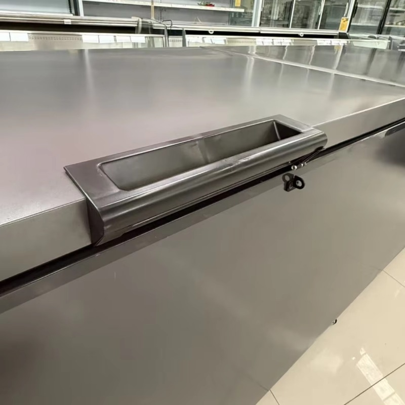 Commercial Double Door Horizon - đánh giá và giá Commercial Chest Freezer