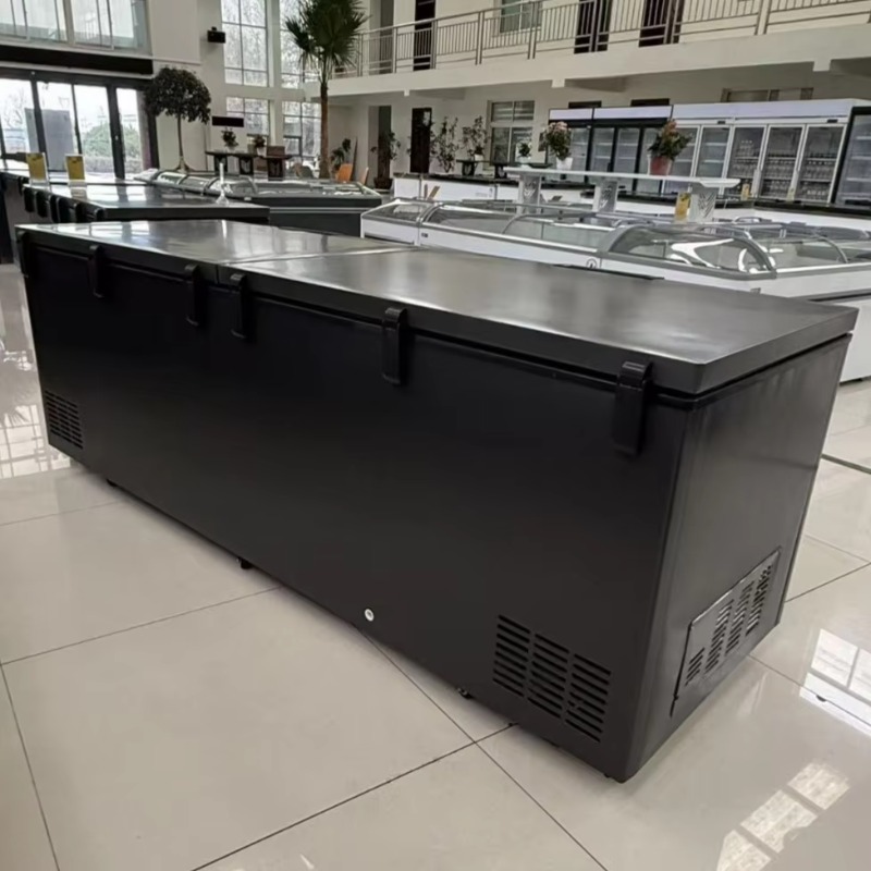 Commercial Double Door Horizon - đánh giá và giá Commercial Chest Freezer